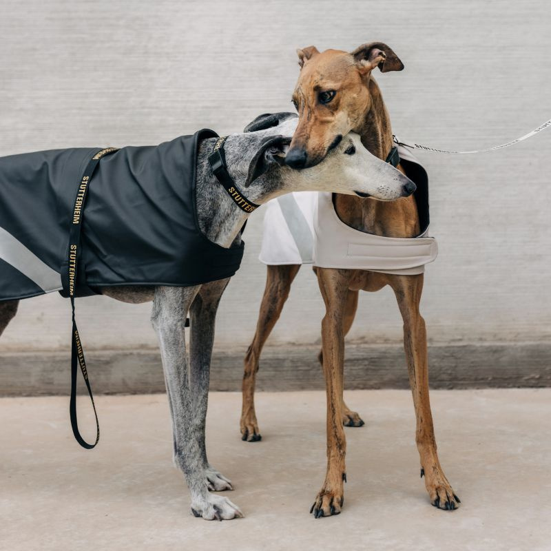 Dog Raincoats