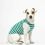 the painters wife - daniel-organic-cotton-dog-bodysuit-emerald - 33